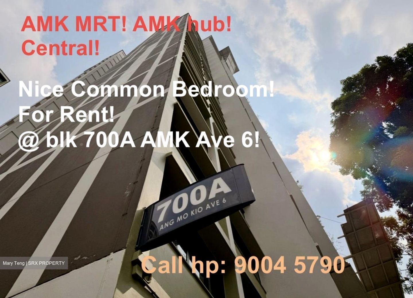 Blk 700A Amk Central Heights (Ang Mo Kio), HDB 5 Rooms #622734411